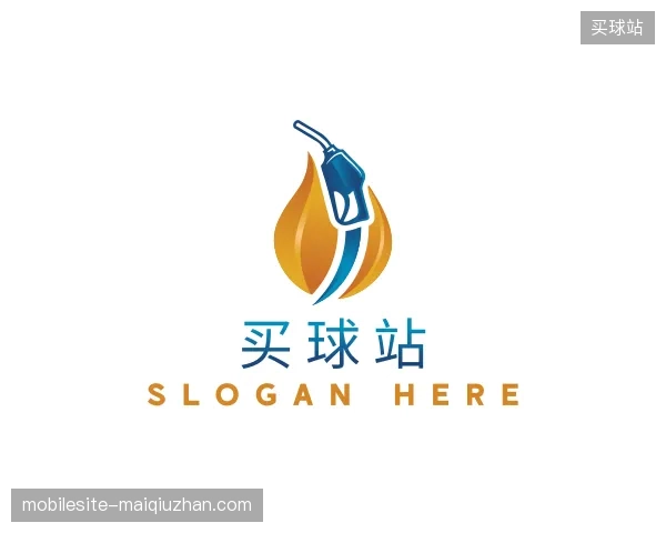 解读买球站中国官网